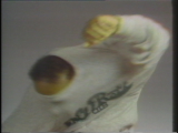 preview clip thumb