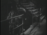 preview clip thumb