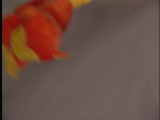preview clip thumb