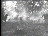 Thumbnail 63