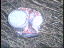 Thumbnail 22