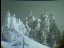 Thumbnail 22