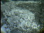 Thumbnail 23