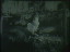 Thumbnail 45