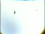 Thumbnail 57