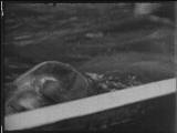 preview clip thumb