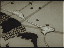 Thumbnail 31