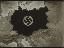 Thumbnail 37