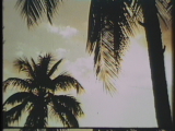 preview clip thumb