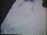 preview clip thumb