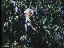 Thumbnail 18