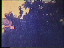 Thumbnail 31