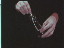 Thumbnail 23