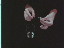 Thumbnail 36
