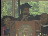 Thumbnail 35