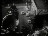 Thumbnail 22