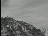 Thumbnail 36