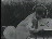 Thumbnail 55