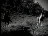 Thumbnail 25