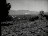 Thumbnail 28