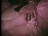 Thumbnail 16