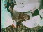Thumbnail 21