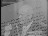 Thumbnail 26