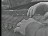 Thumbnail 21