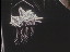 Thumbnail 16