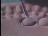 Thumbnail 19