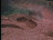 Thumbnail 61