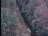 Thumbnail 38