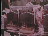 Thumbnail 41