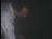 Thumbnail 29