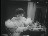 Thumbnail 28