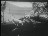 Thumbnail 36