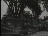 Thumbnail 35