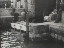 Thumbnail 37