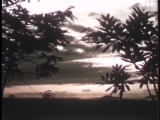 preview clip thumb