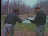 Thumbnail 16