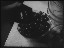 Thumbnail 27