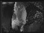 Thumbnail 37