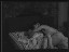 Thumbnail 45