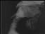 Thumbnail 46