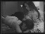 Thumbnail 56