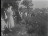 Thumbnail 30
