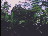 Thumbnail 22