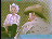 Thumbnail 16