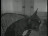 Thumbnail 60