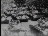 Thumbnail 32